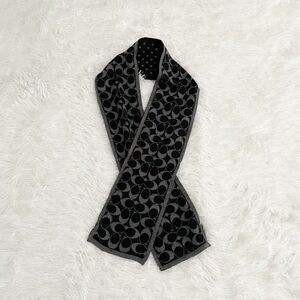 Women Vintage Coach Polka Dot Wool Scarf in Dark Gray One Size